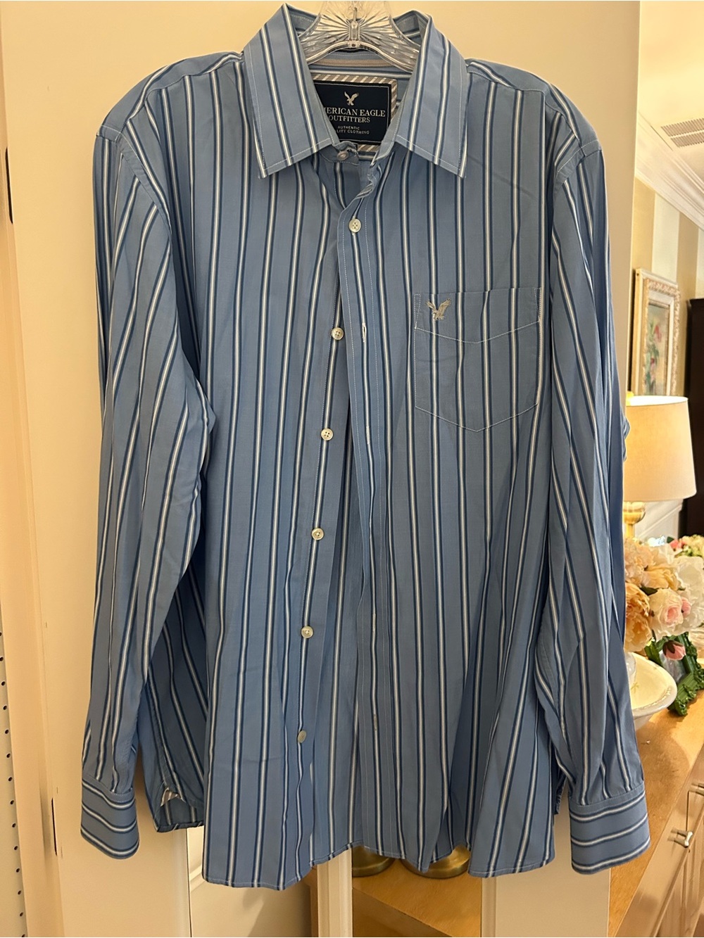 American Eagle Outfitters Blue and White Striped Button-Down Shirt